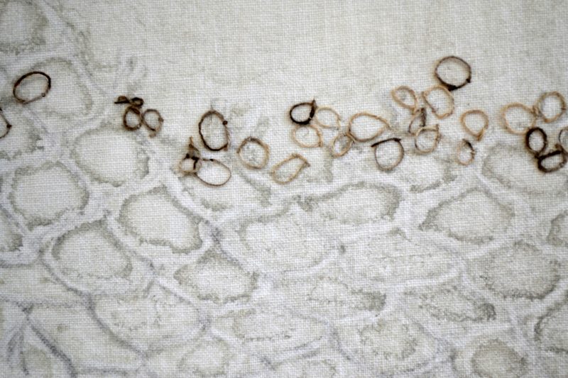 Terry Donaldson | Textiles 1