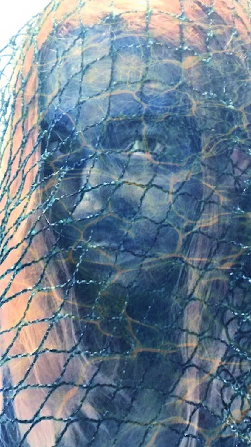 Lauren Carey-Wearn | Pre-degree & Foundation Studies