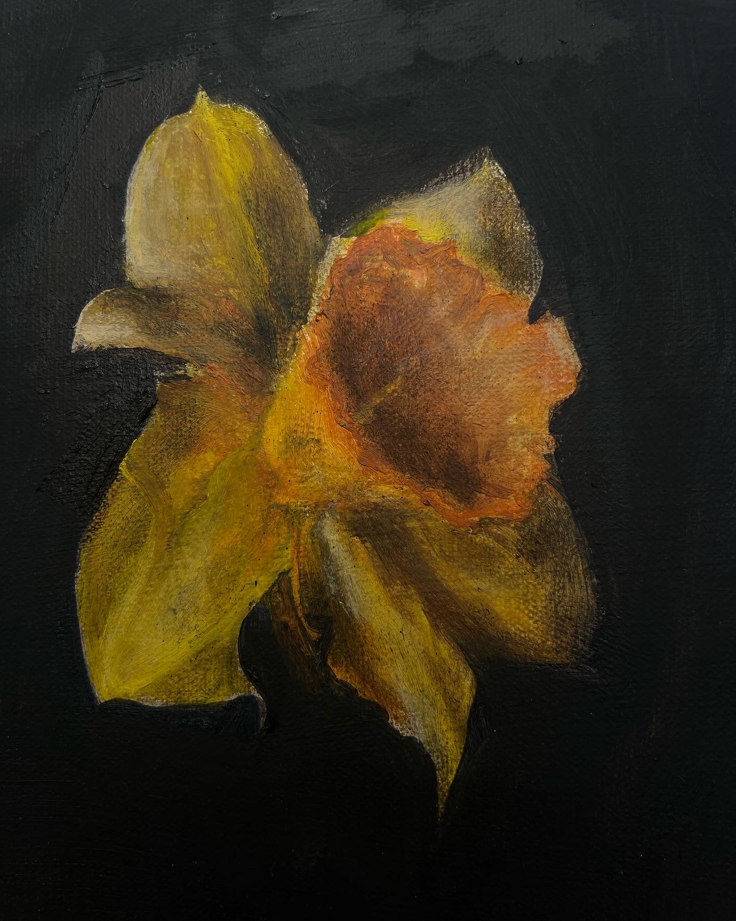 ariana jansen | Pre-degree & Foundation Studies 1