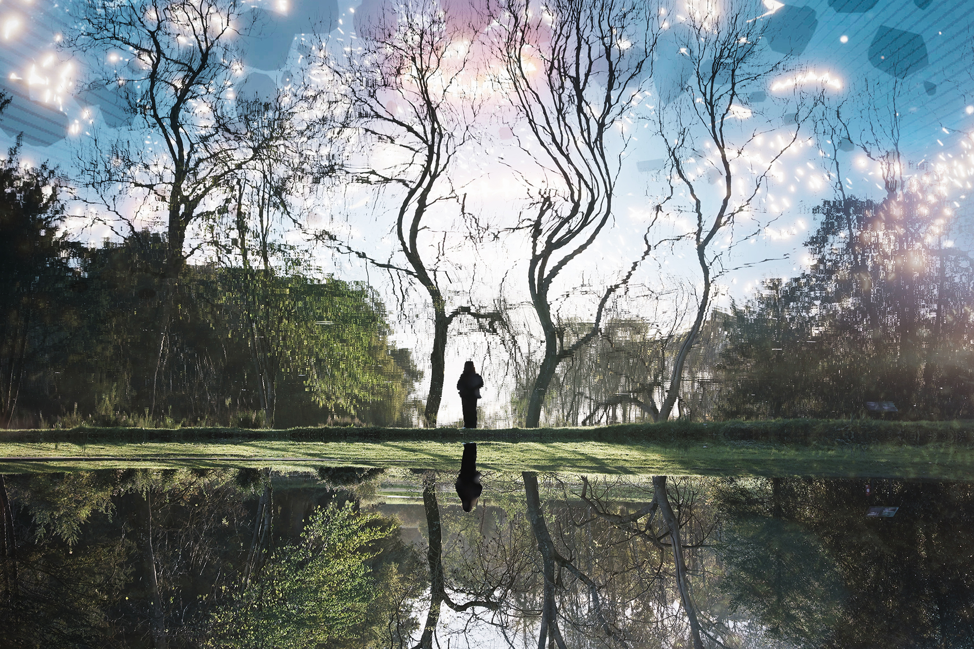 Yifan Liu | Photography 8