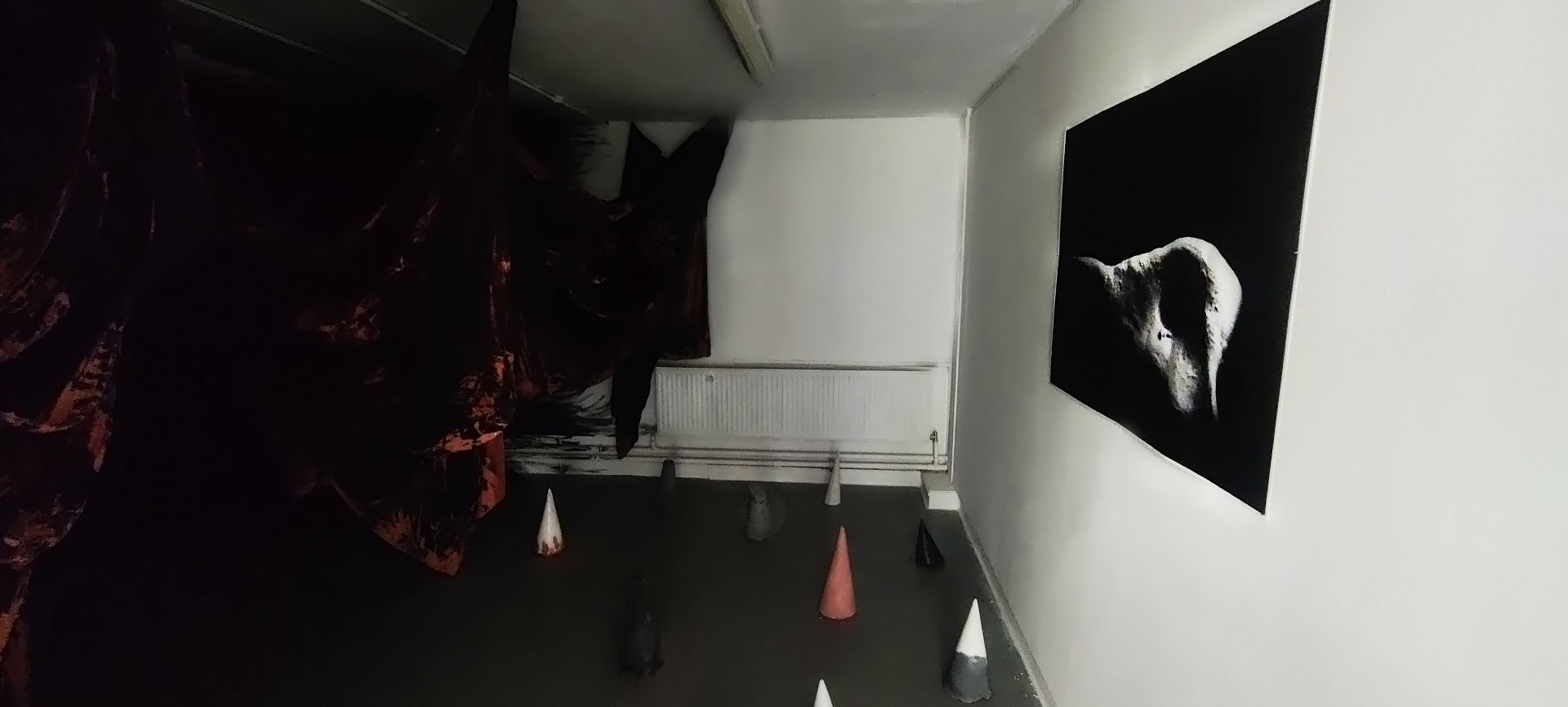 Christina Richards | Fine Art 4