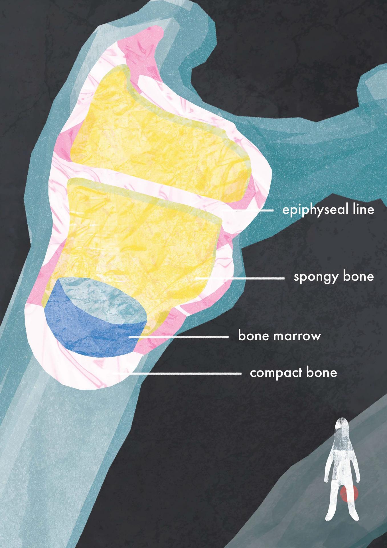 Jake Cowx | Illustration 5