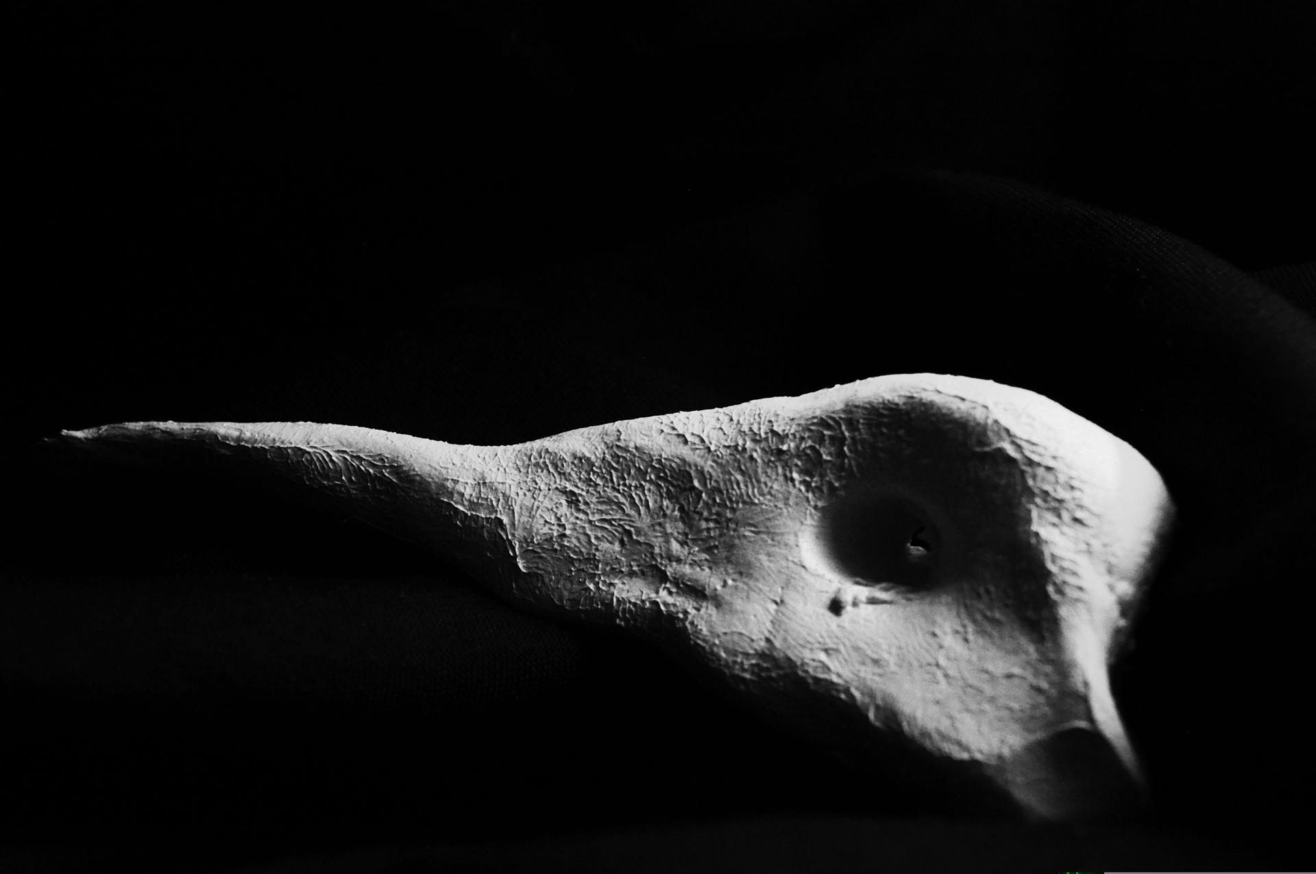 Christina Richards | Fine Art 6