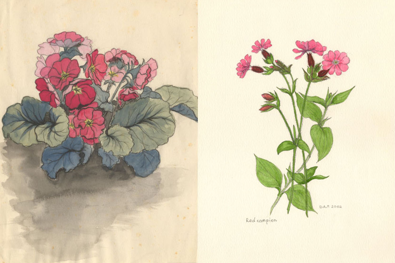 Amy Stevens | Textiles 1