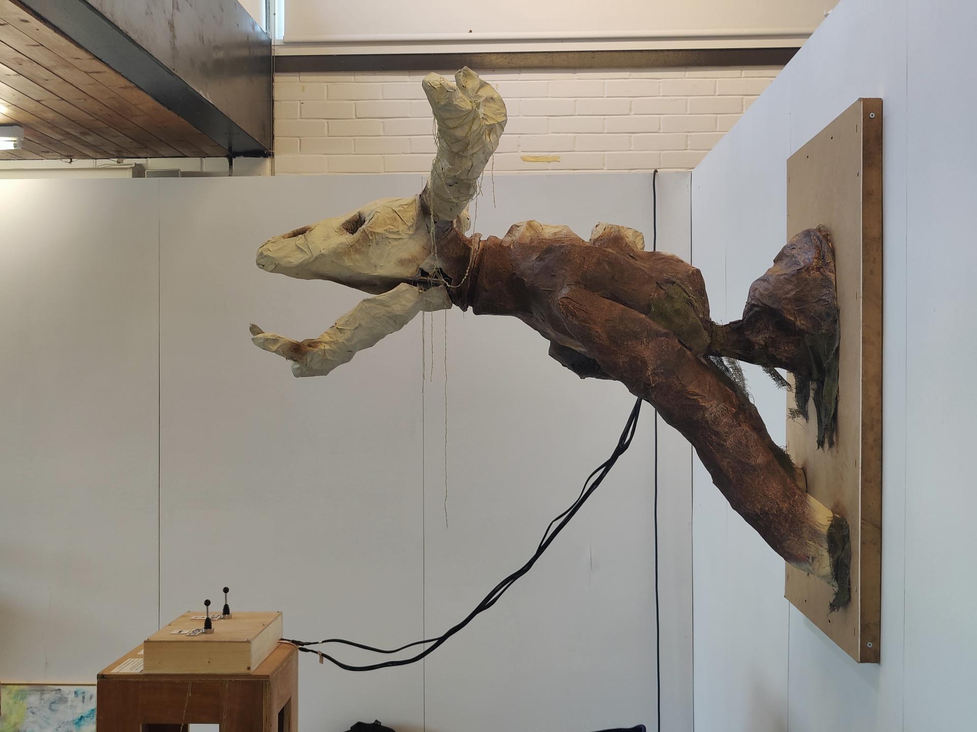 Tahla Thomson | Pre-degree & Foundation Studies