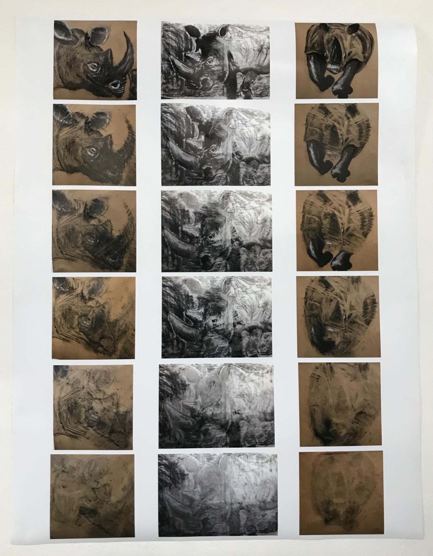 Christopher Little | Fine Art