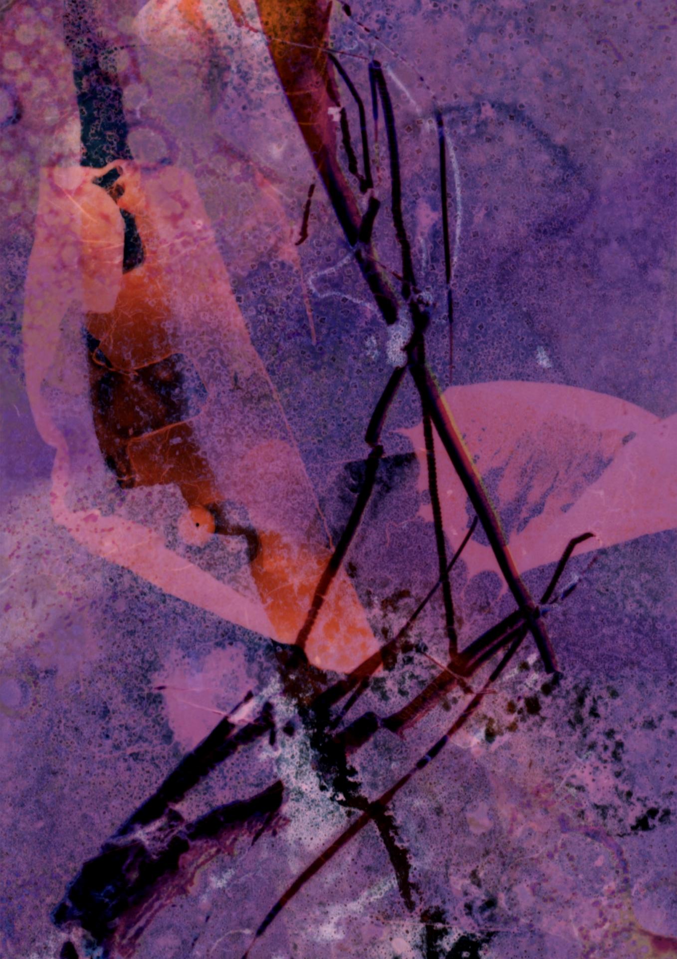 Lauren Russell | Pre-degree & Foundation Studies 1