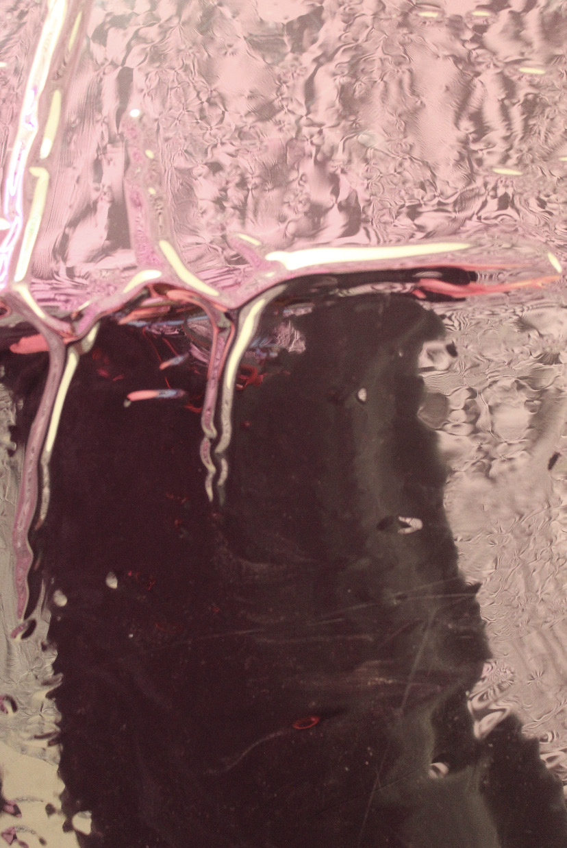 Errin Purse | Communication & Media