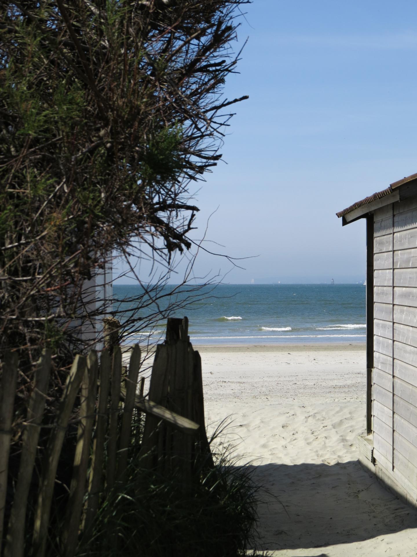 Megan Owen | Textiles 4