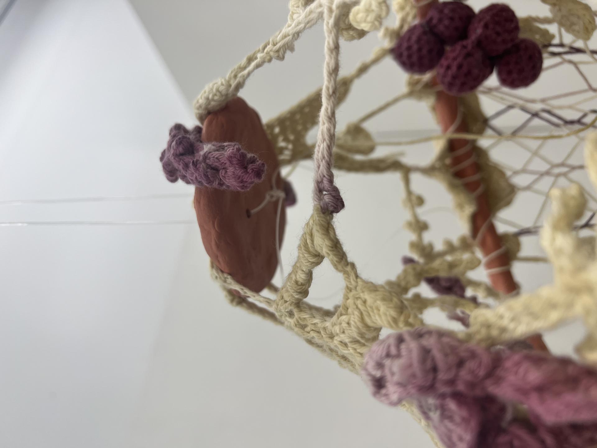 Charlotte Webb | Pre-degree & Foundation Studies