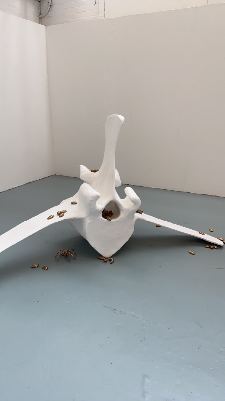 Hebe McKenzie | Fine Art 3