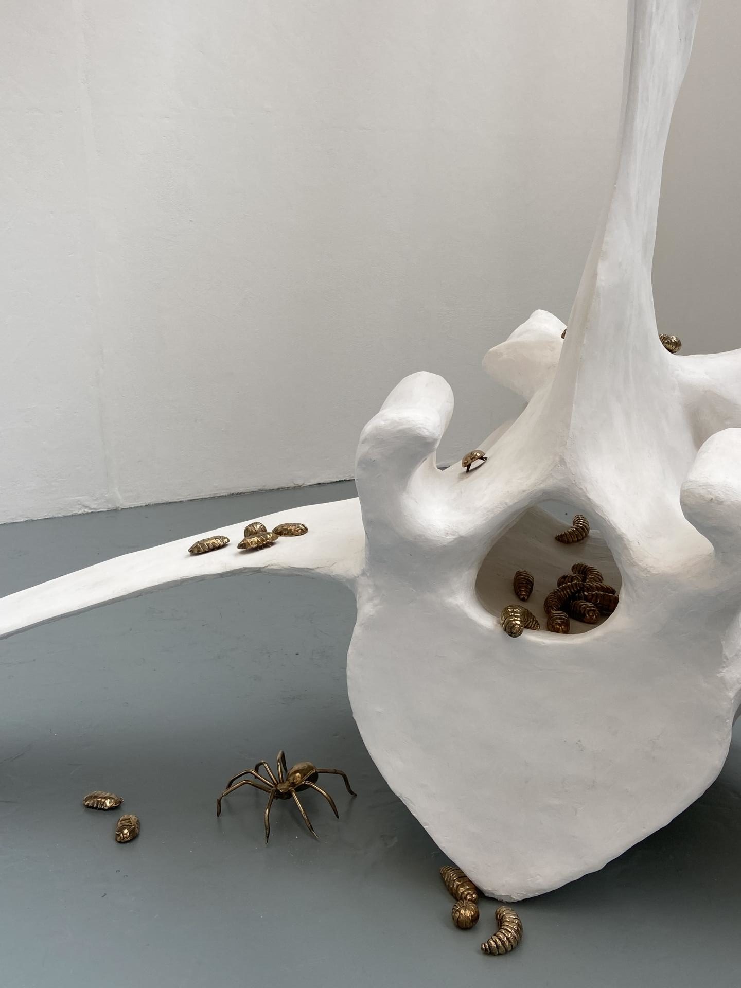 Hebe McKenzie | Fine Art 4