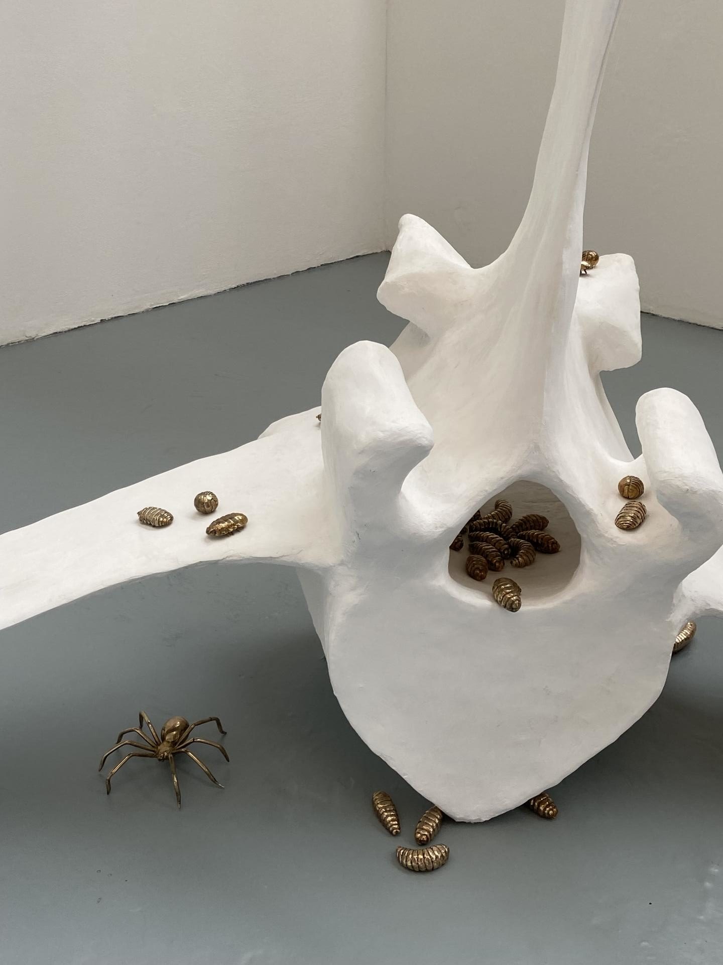 Hebe McKenzie | Fine Art