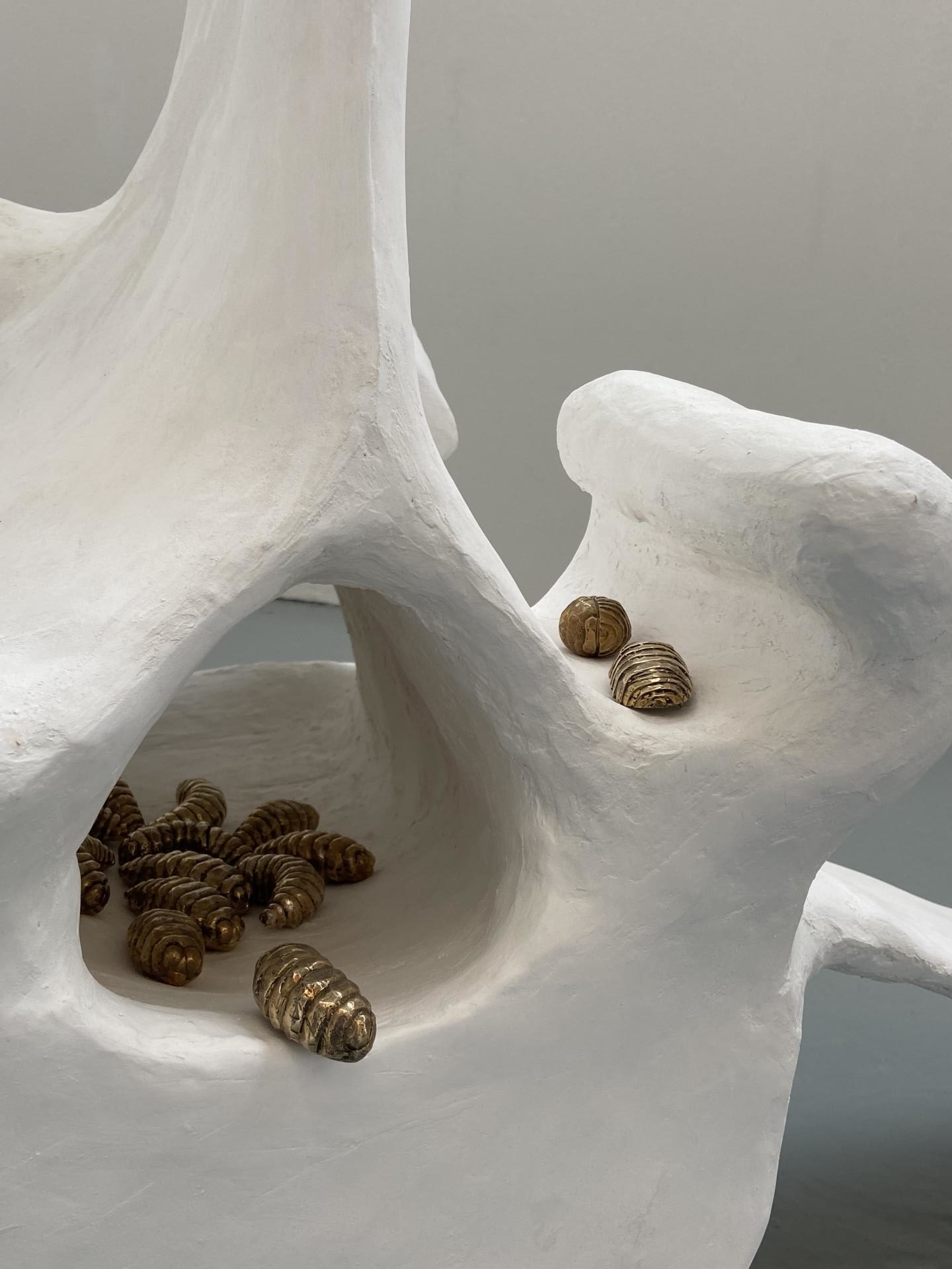 Hebe McKenzie | Fine Art 1