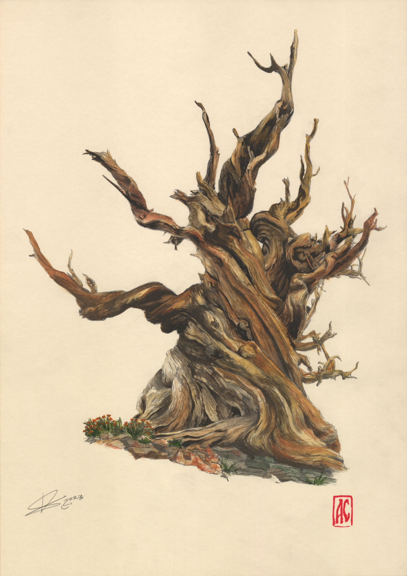 Andrew Sviridov | Illustration 3