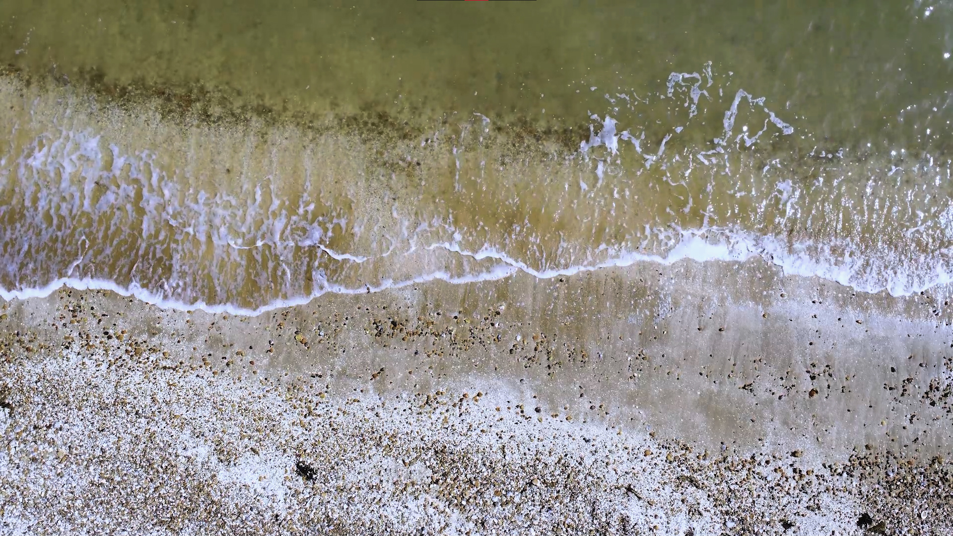 Ellie Beckett | TV 2