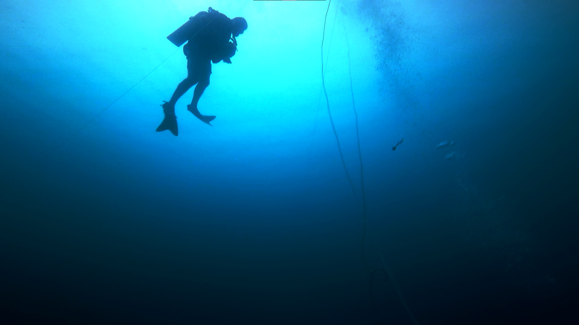 Ellie Beckett | TV 1