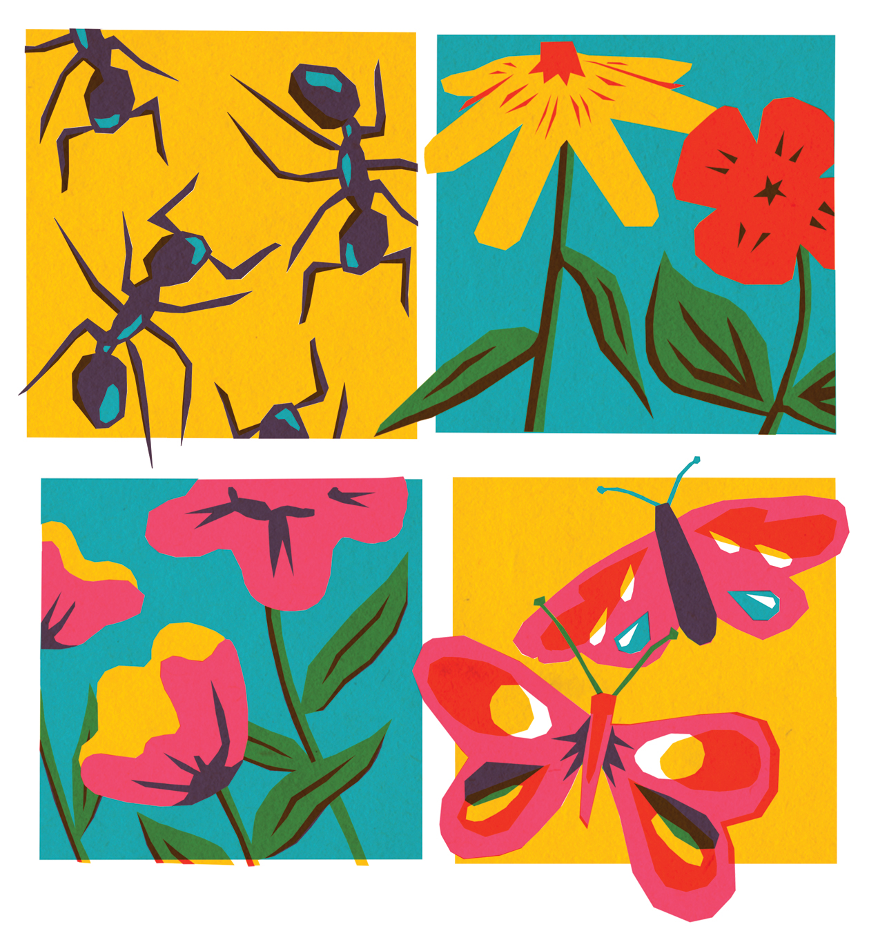 Amelia Ariss | Illustration