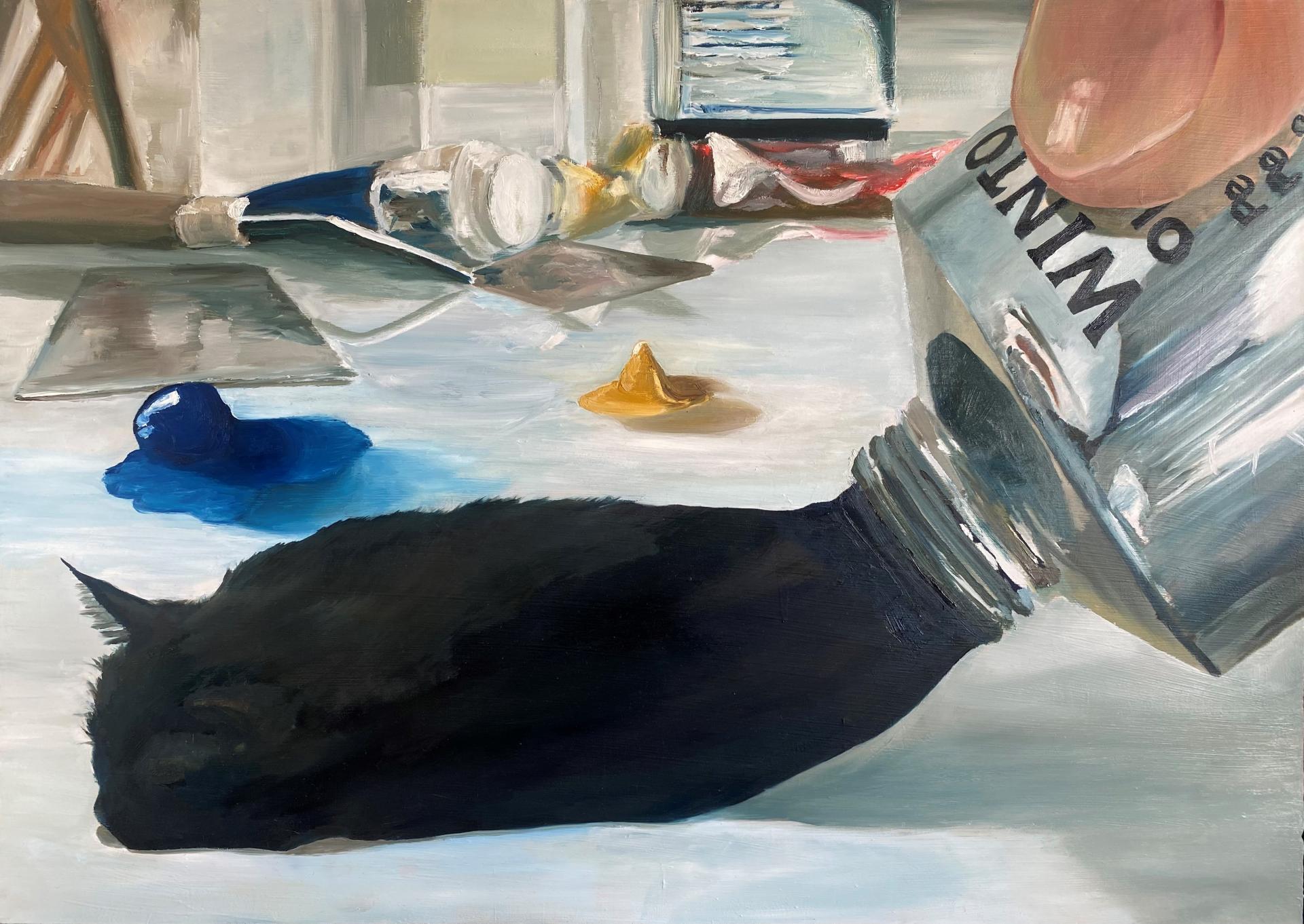 Harry Gilbert | Pre-degree & Foundation Studies 1