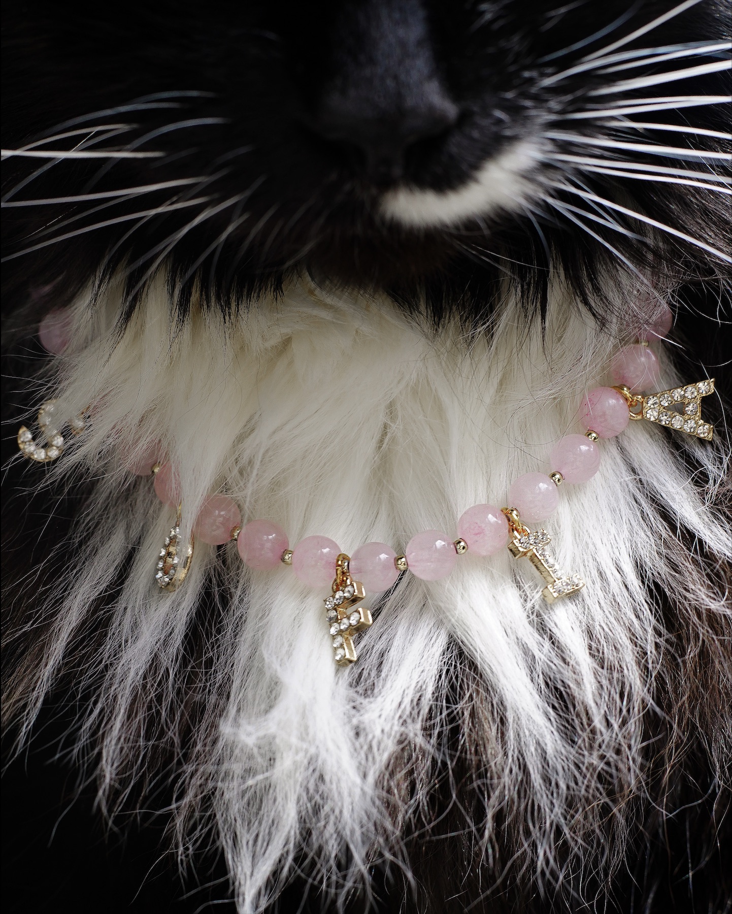 Eva Strand | Fashion 1