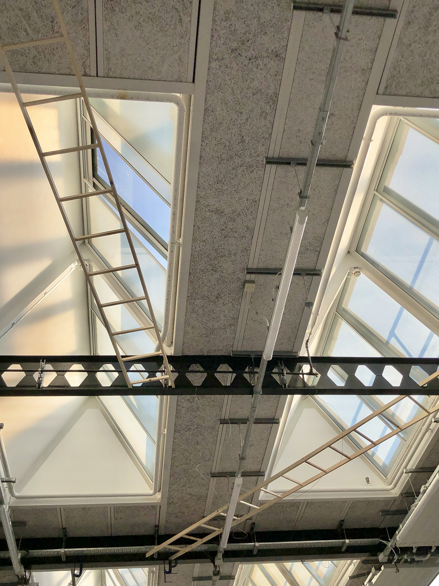 Zhen Feng Ang | Fine Art 9