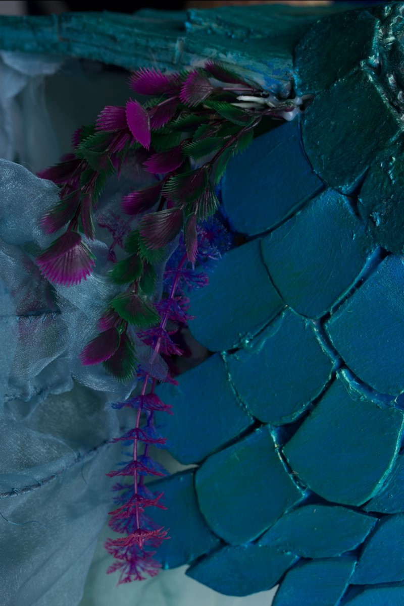 Isobel Shuttlewood | Film 1