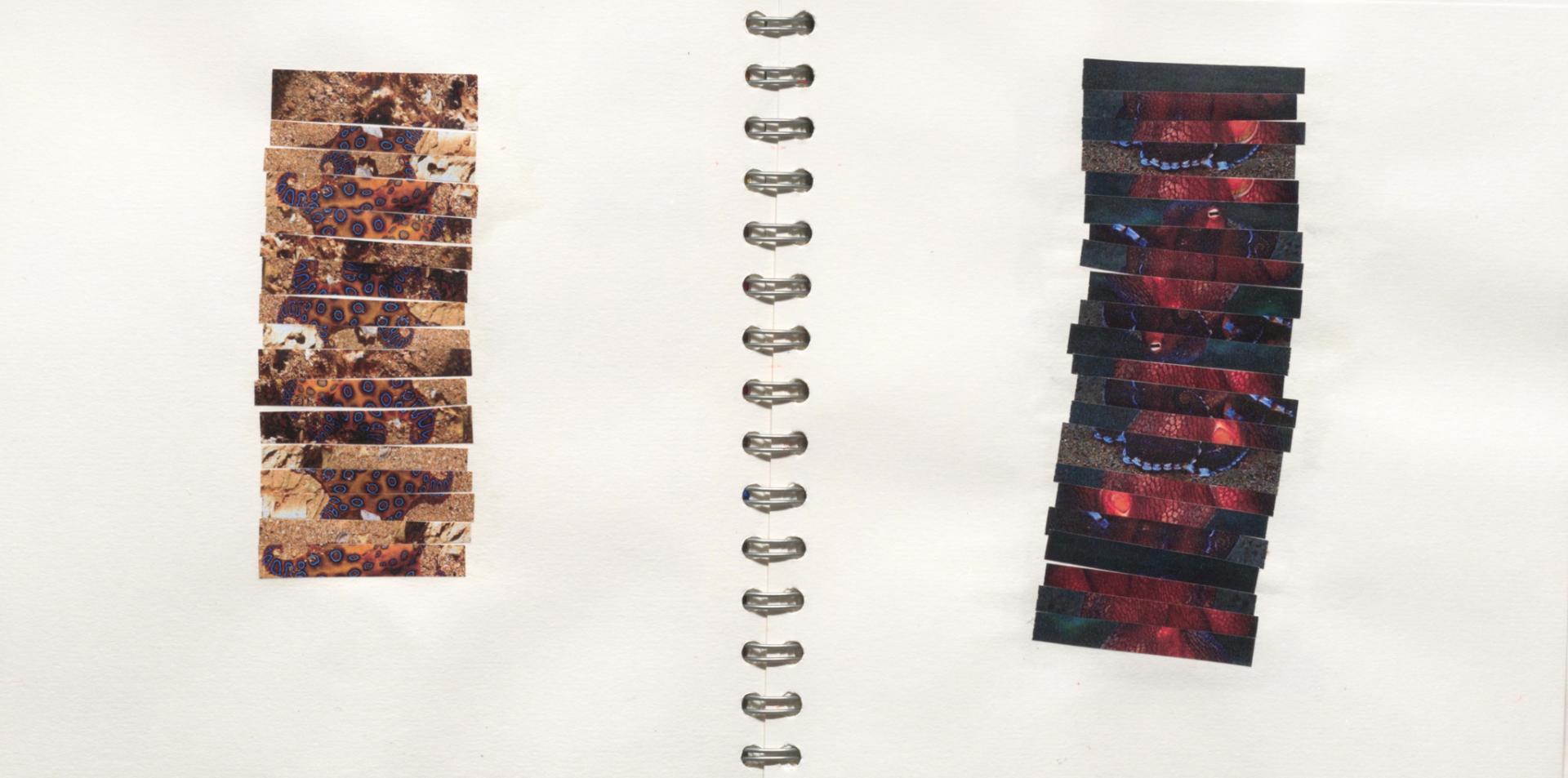 Megan Owen | Textiles 3