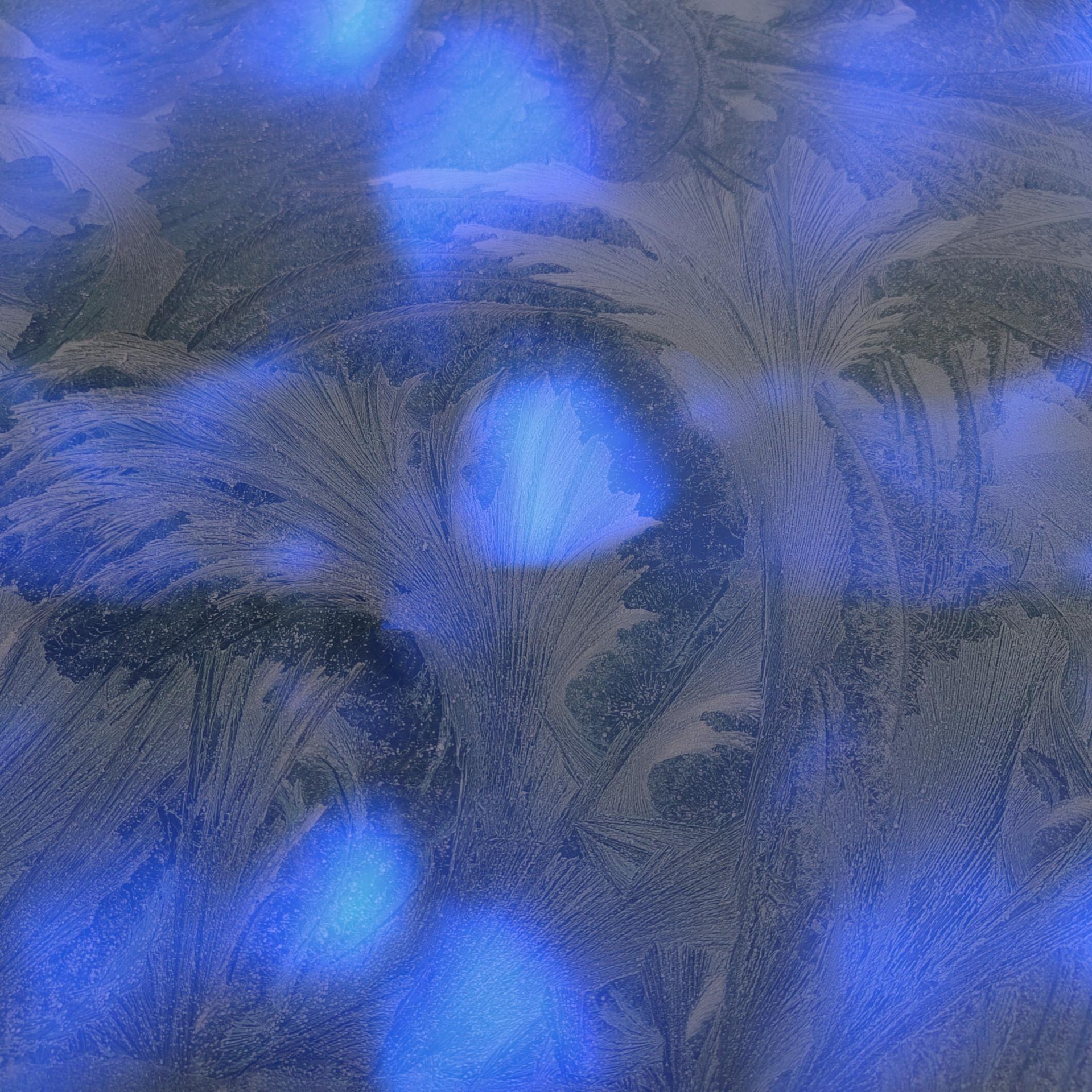 Charlotte Walton | Textiles