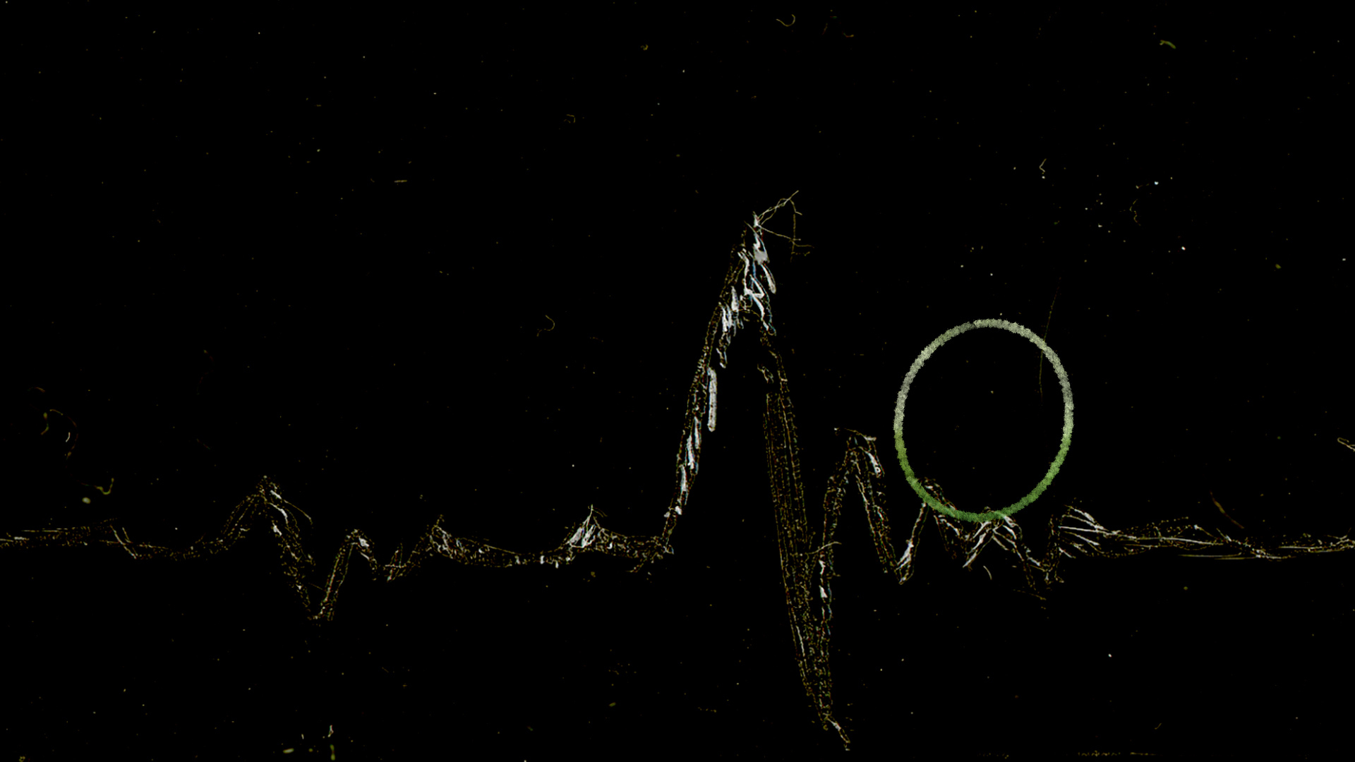 Weng Shan Lim | Animation 6