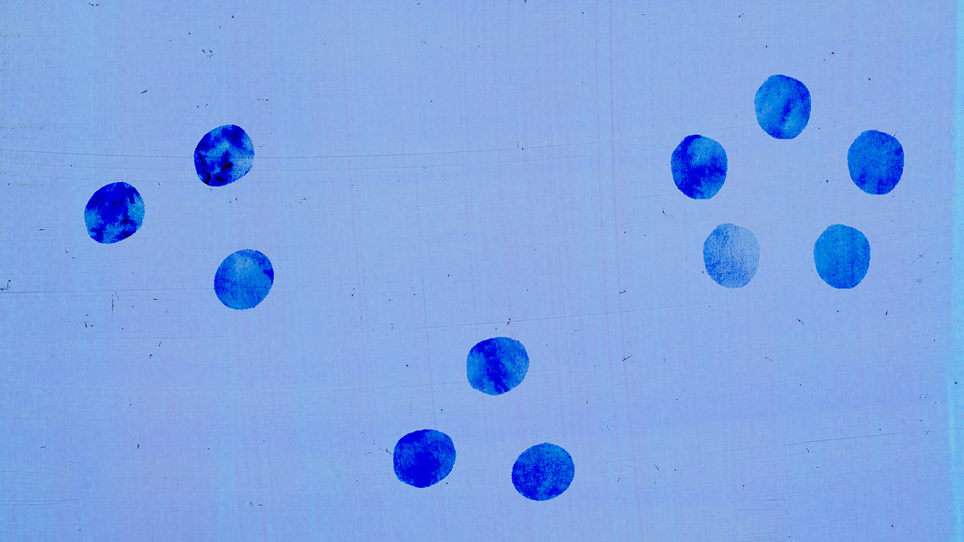 Weng Shan Lim | Animation 2