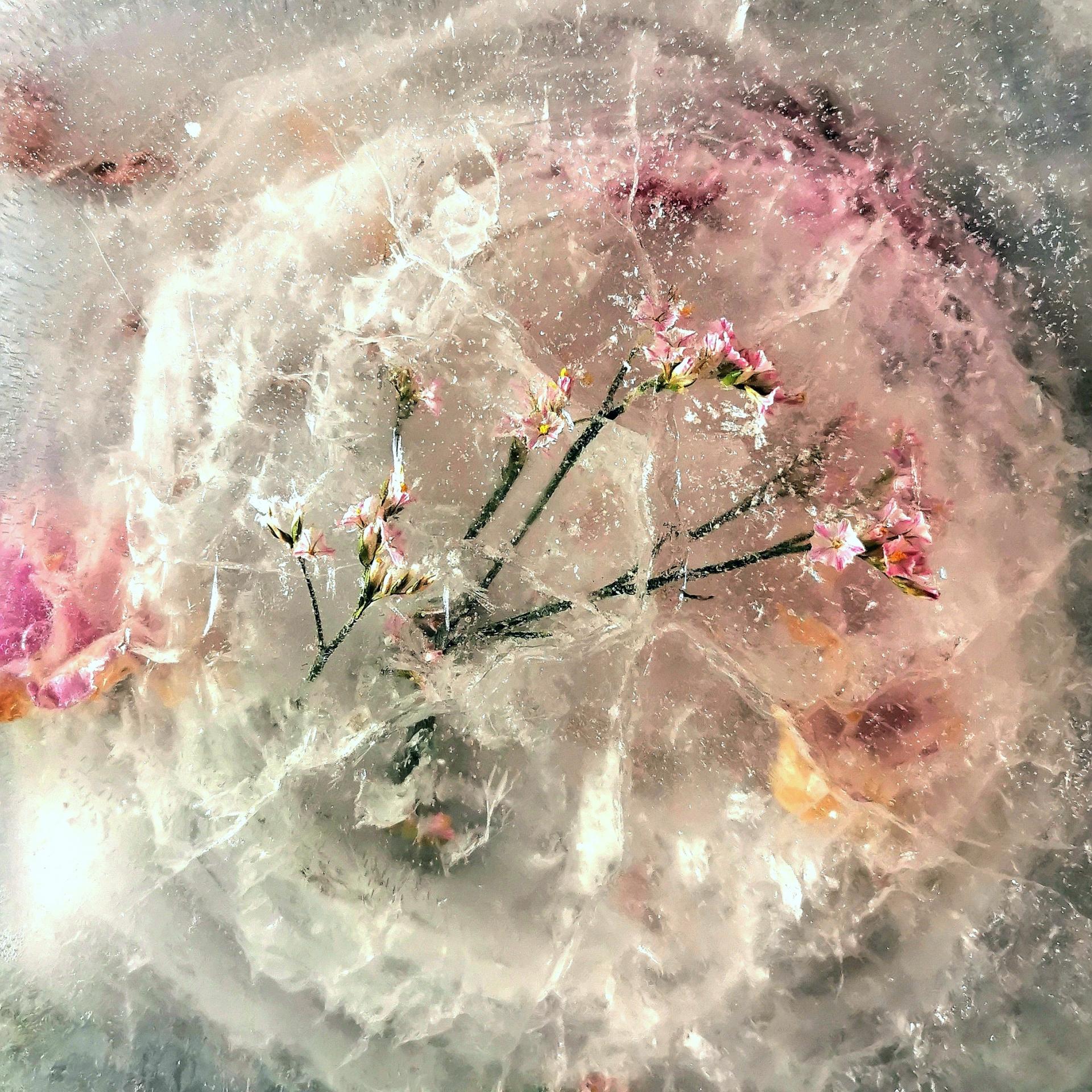 Kamile Kundrotaite | Fine Art 1