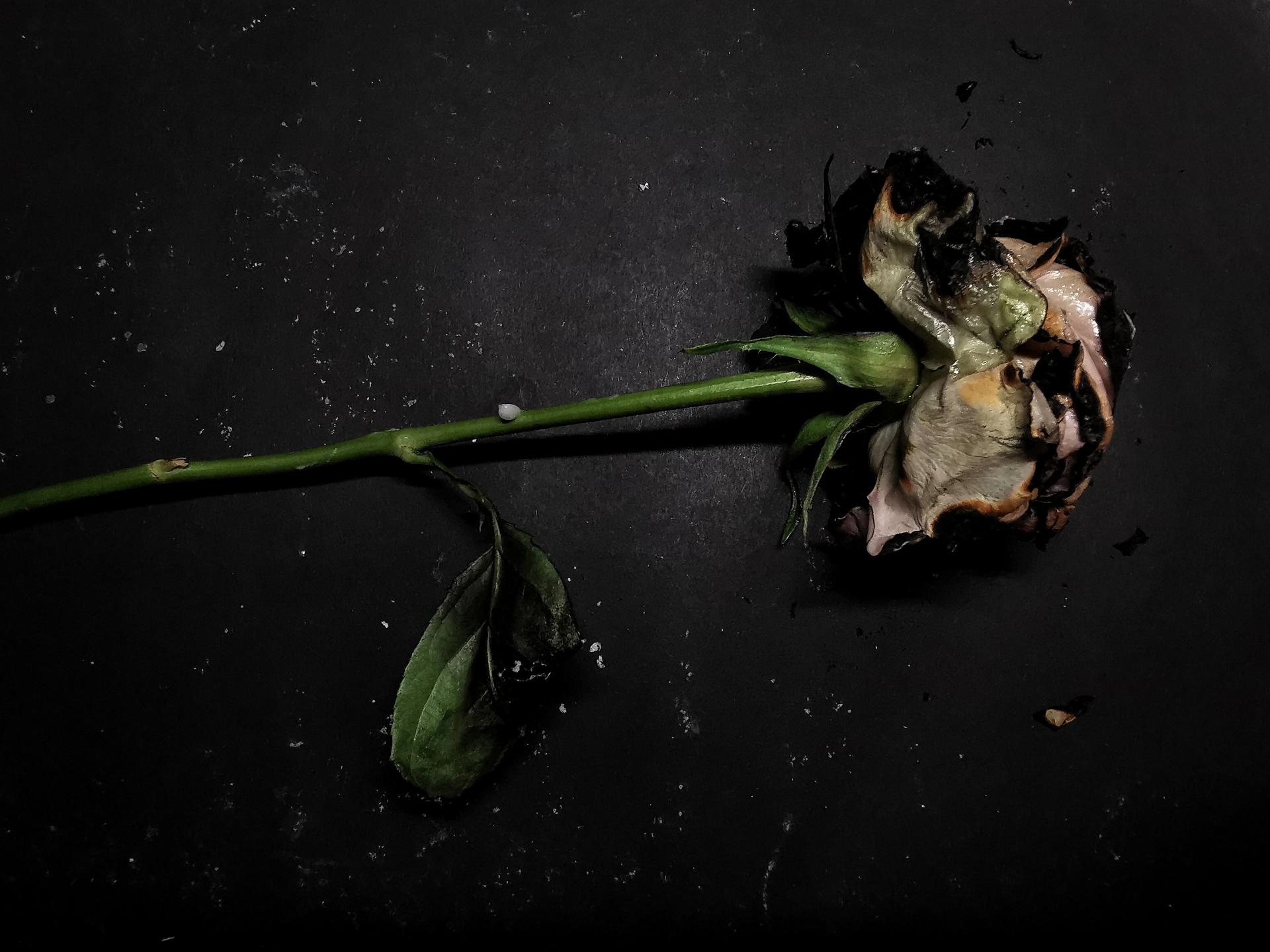 Kamile Kundrotaite | Fine Art 2