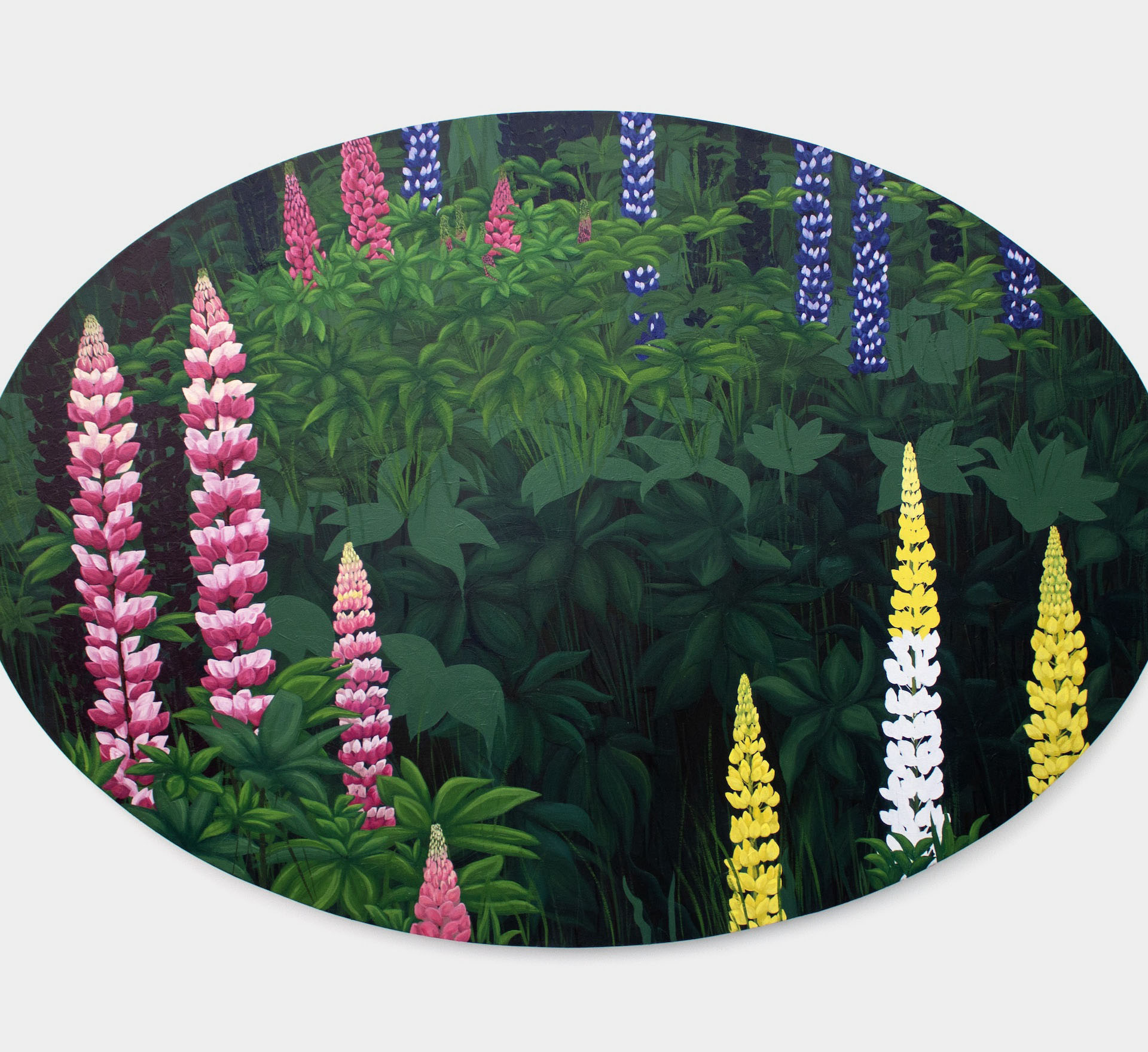 Charlotte Lloyd | Fine Art 12