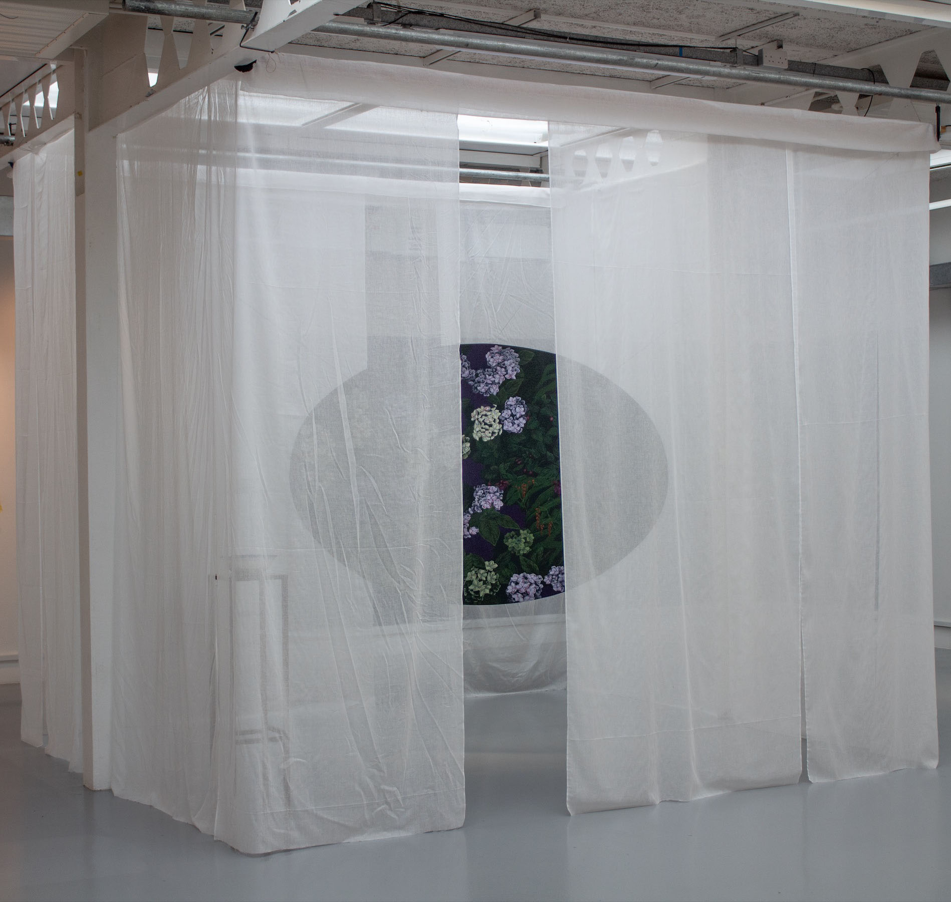 Charlotte Lloyd | Fine Art 13