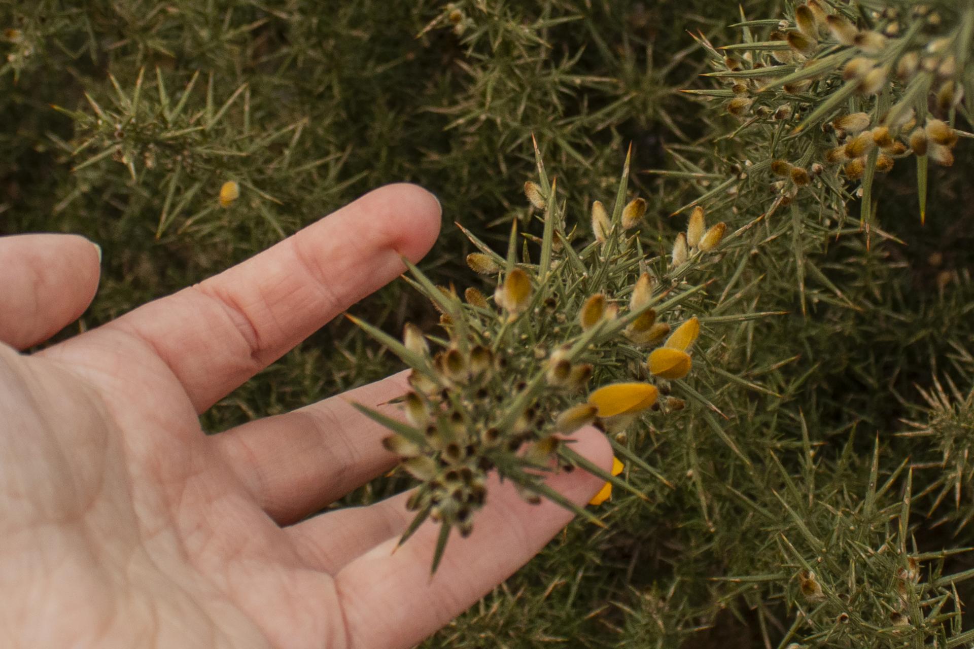 Lucy Batchelor | Photography