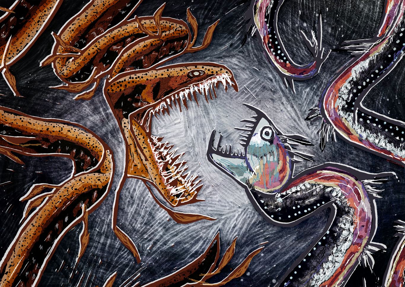 Abbie Smith | Illustration