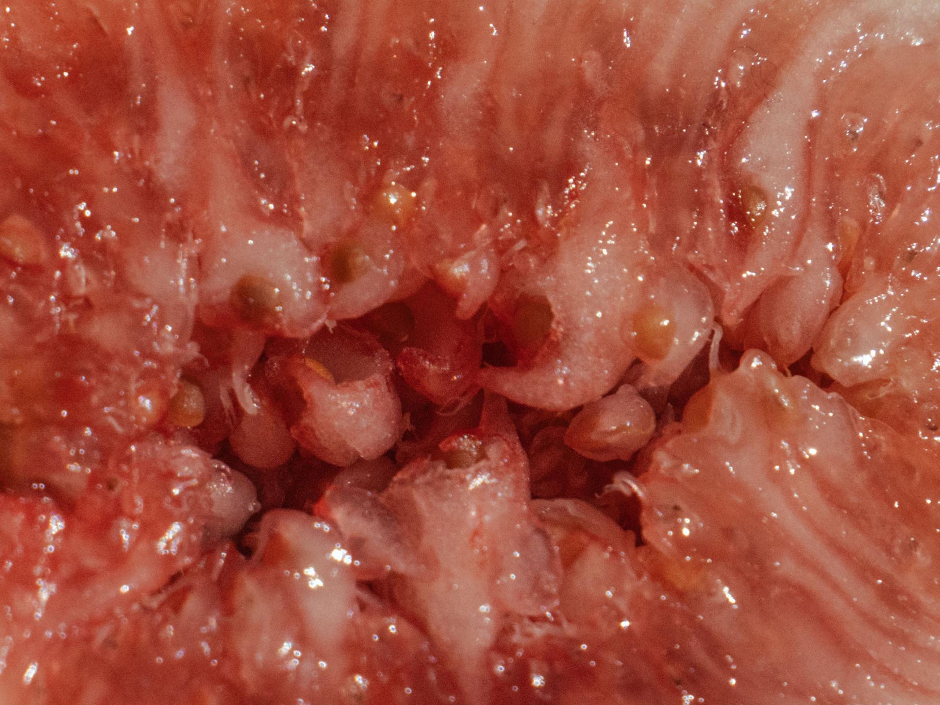 Eve Williams | Photography 3