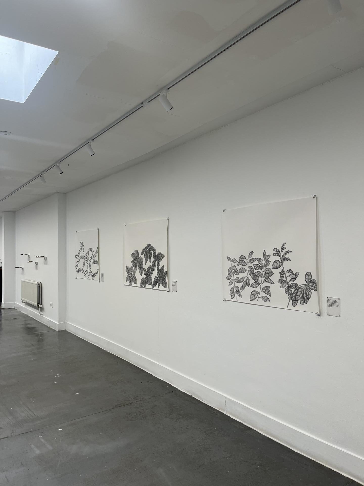 Emma Bingham | Fine Art 5