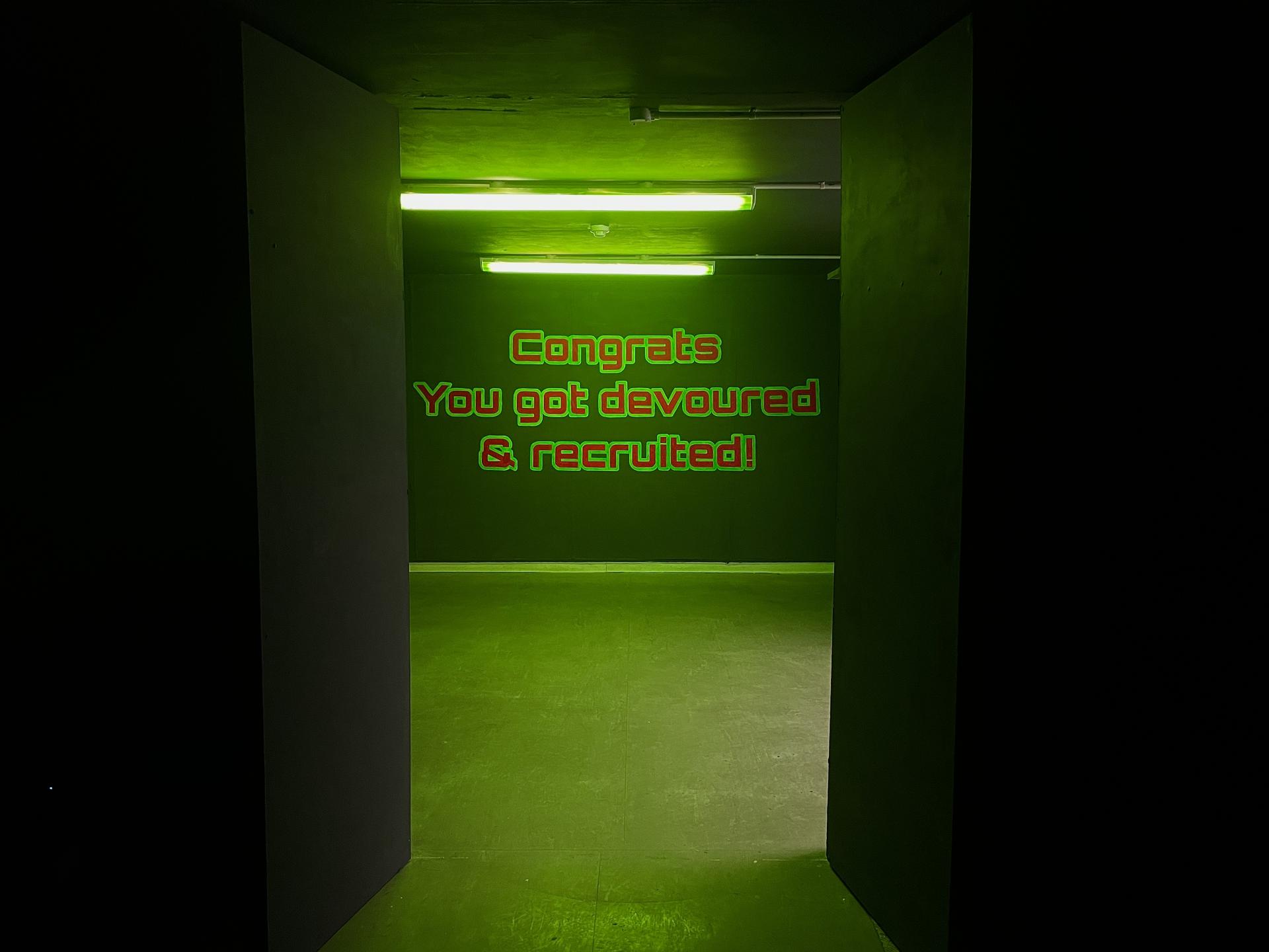 Lucy Branscombe | Fine Art 5