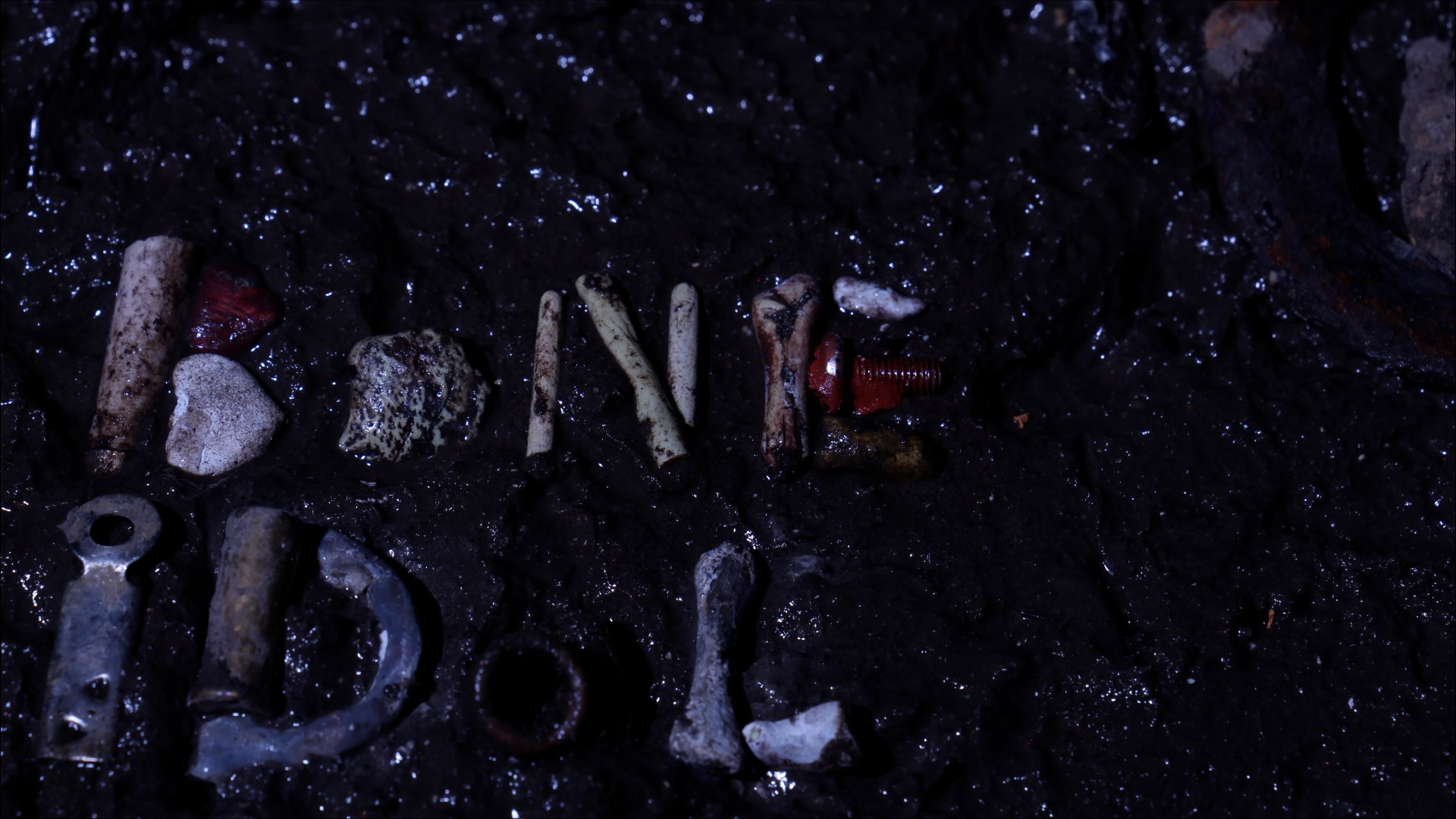 Alba Fernandez Dawson | Animation