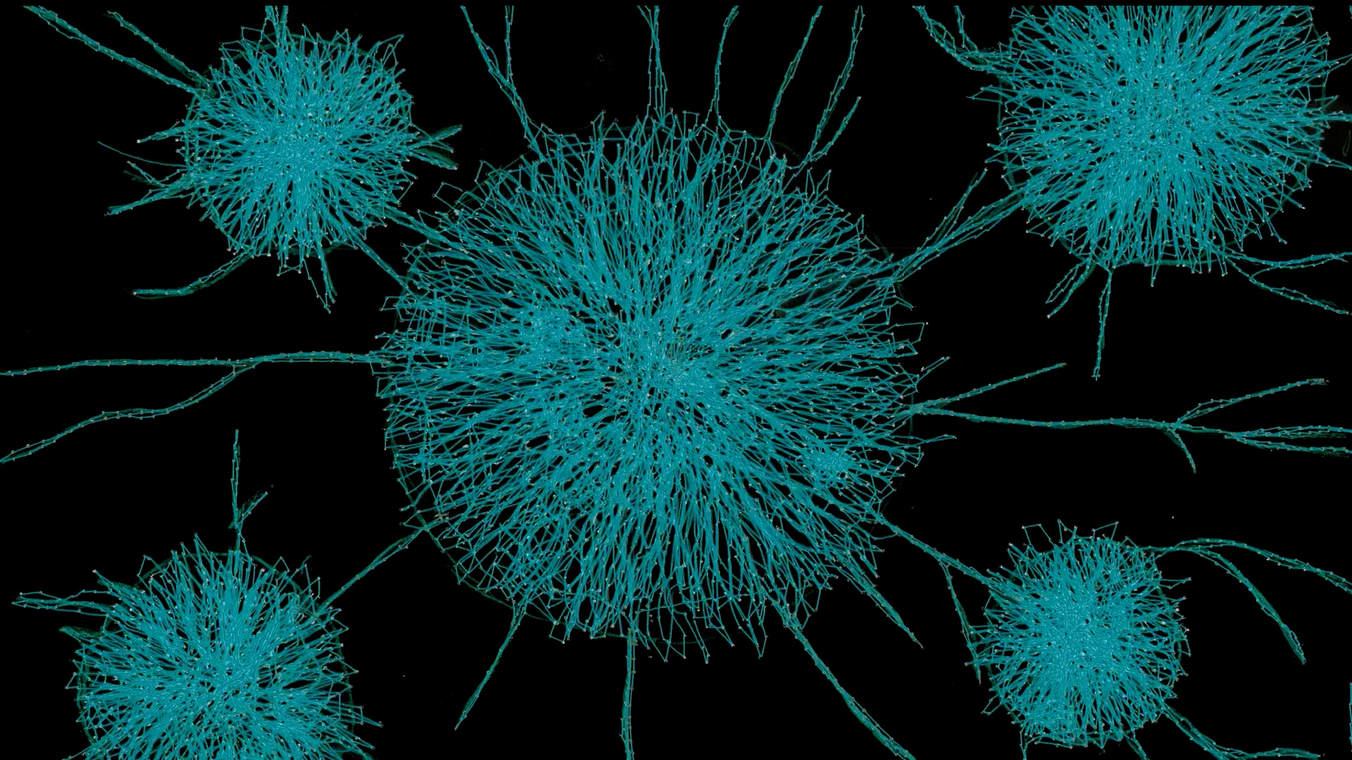 Heather Whelton | Animation 5