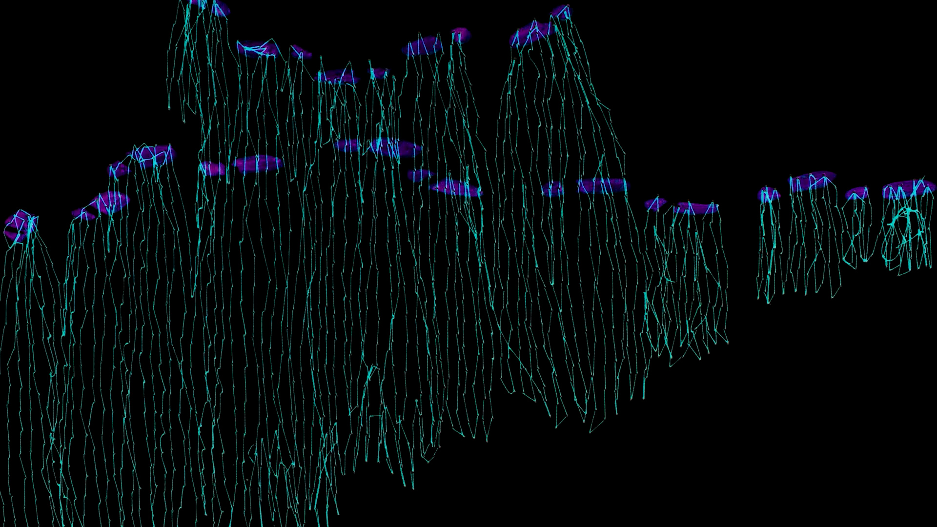 Heather Whelton | Animation 4