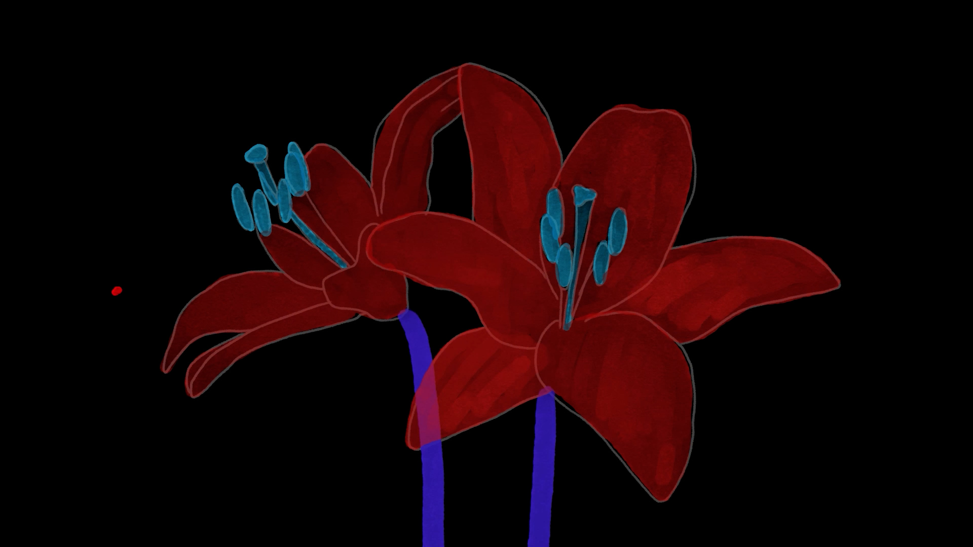 Heather Whelton | Animation 1