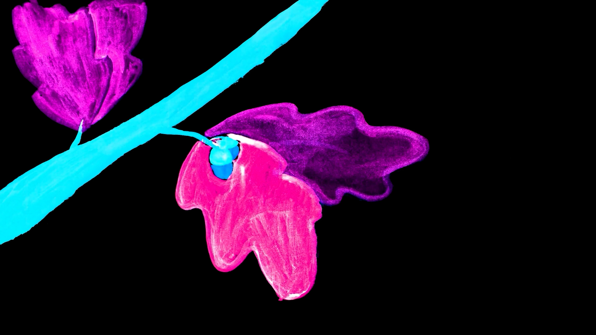 Heather Whelton | Animation 6