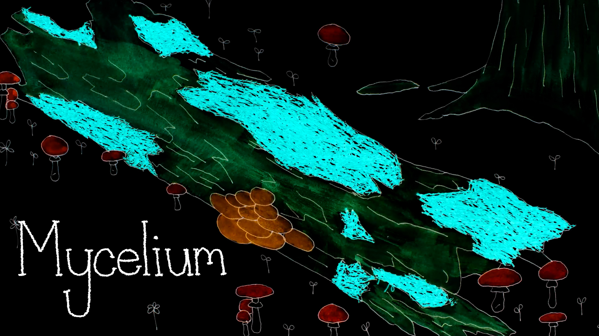 Heather Whelton | Animation