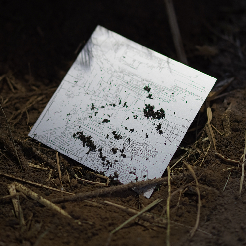 Liu Xinyi | Graphic Design