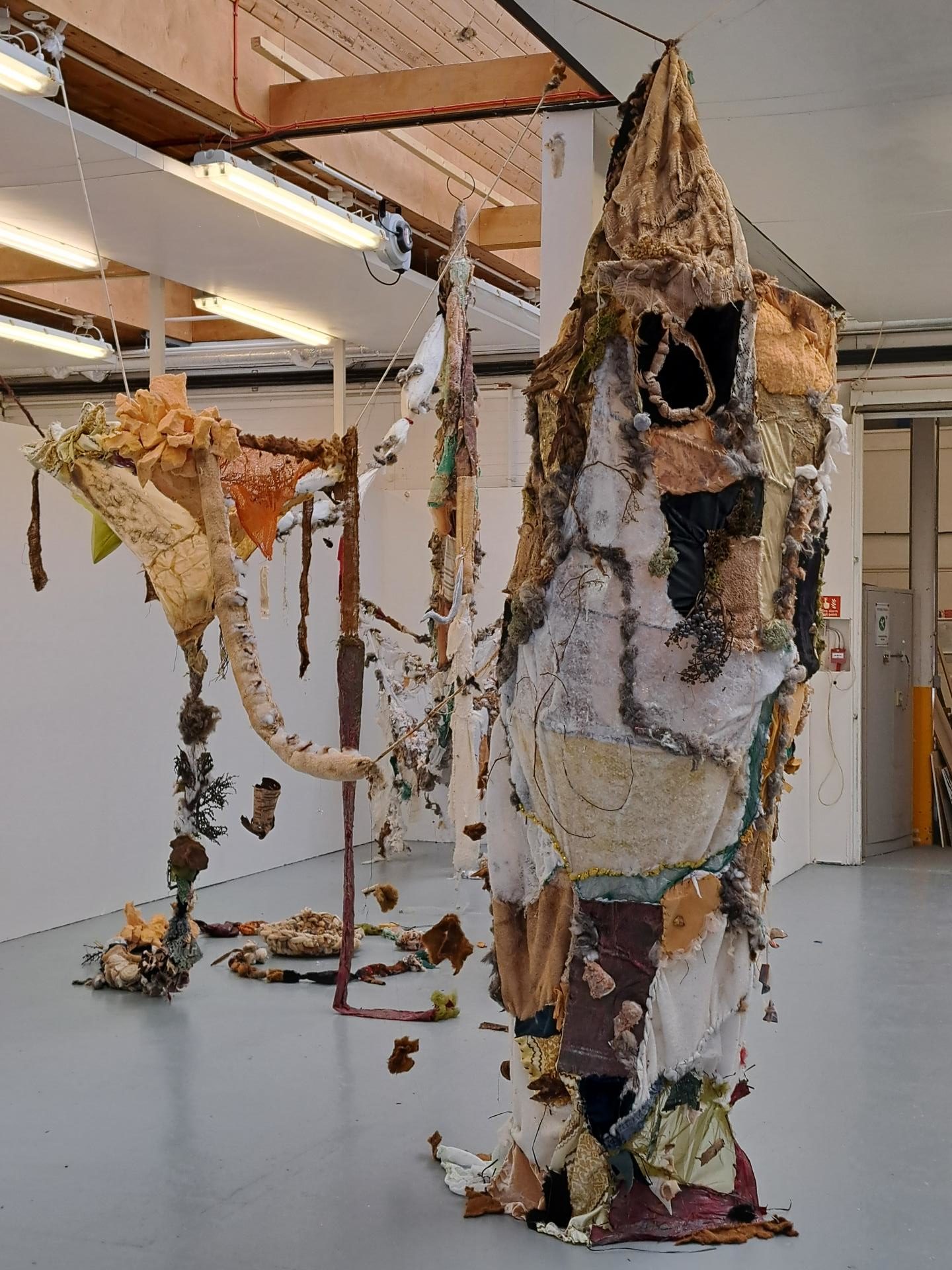 Hima Bijoy | Fine Art 6