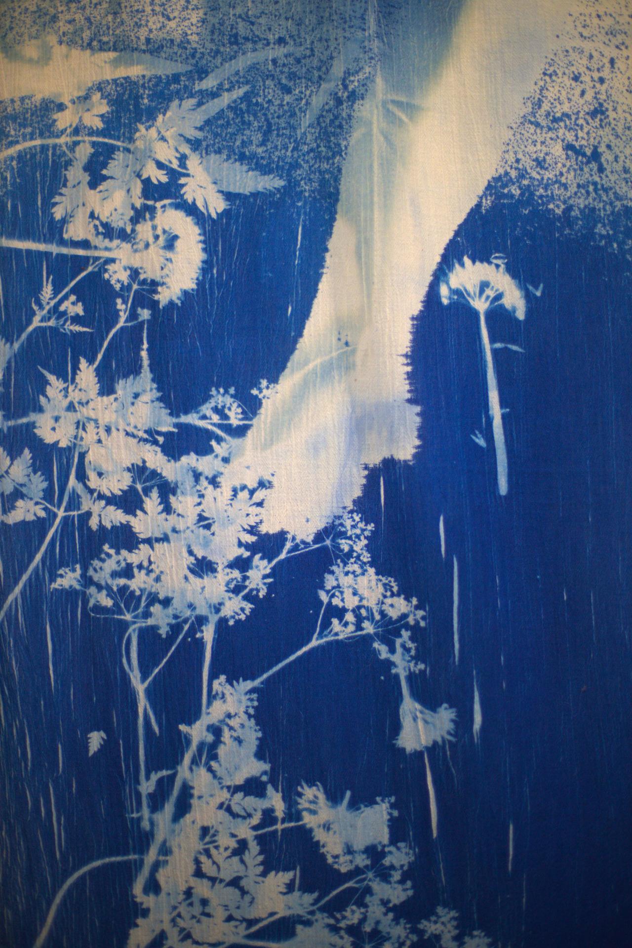 Beth Williams | Fine Art 1