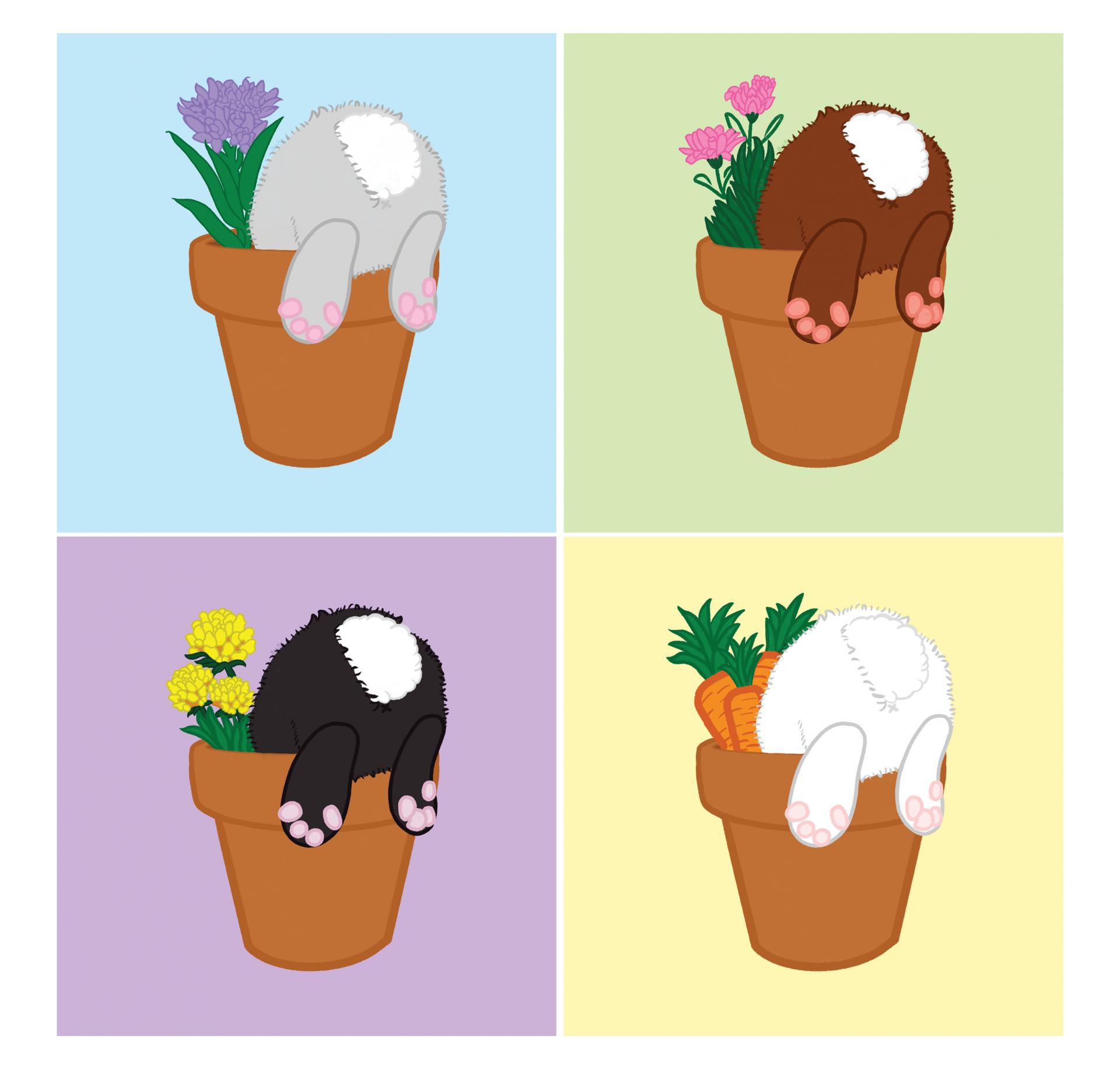 Breanna Power | Illustration 5