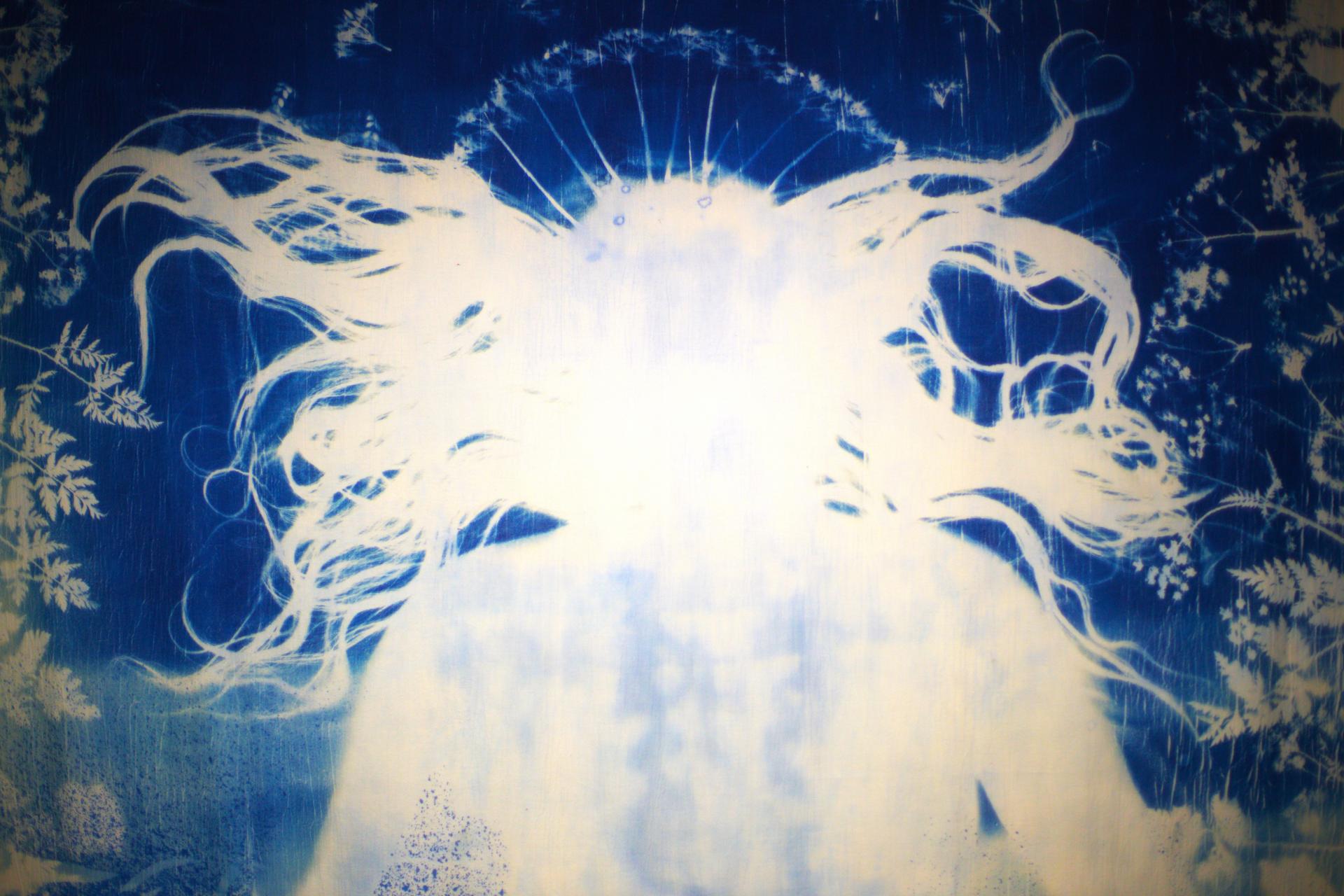 Beth Williams | Fine Art 3